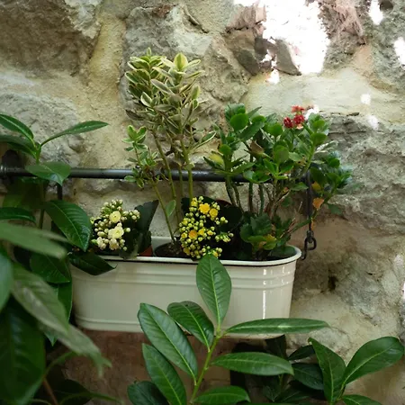 Appartamento Leona Ragusa