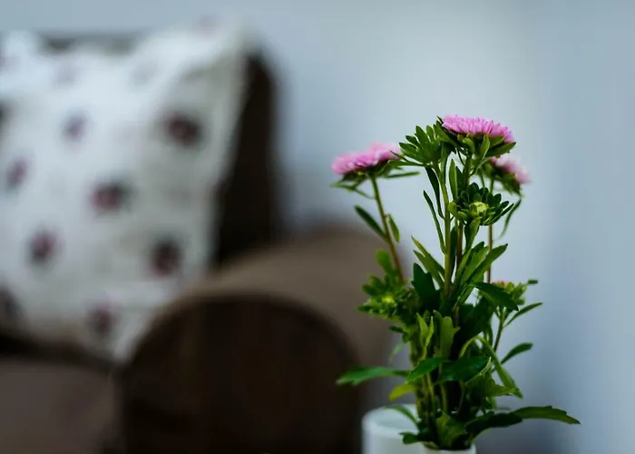 Leona Apartament